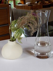 20210628_PXL104445424_Pixel3a-JEB